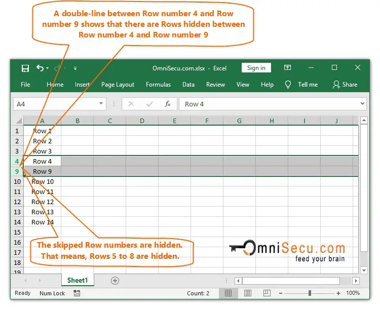 Excel Hidden Rows Reveal